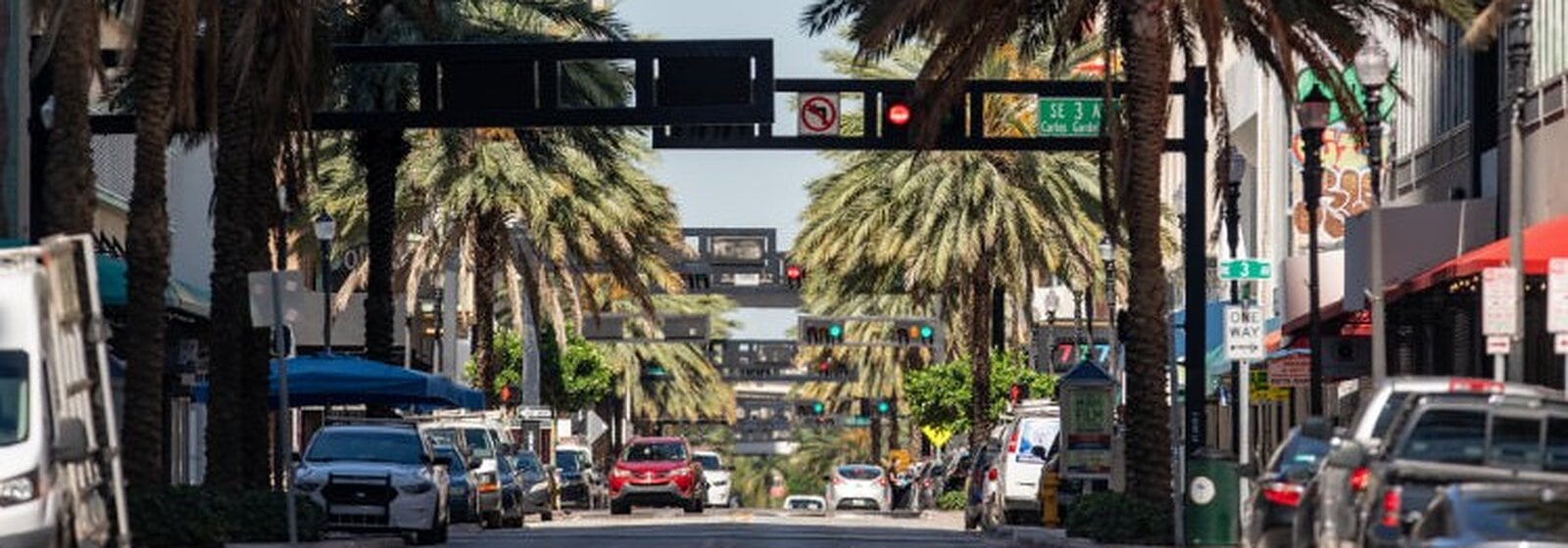 Avenue bordée de palmiers dans Downtown Miami